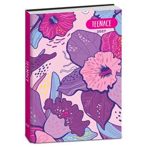 Cartoleria Diario 2027 Teenace 12 mesi Pocket Teenace