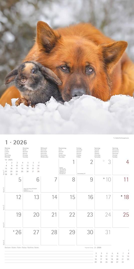 ALPHA EDITION - Calendario 2026 da muro, 12 mesi, 30x30 cm, Aniaml Friends - 3