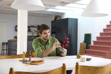 LEGO Botanicals (10369). Albicocco Giapponese - 4