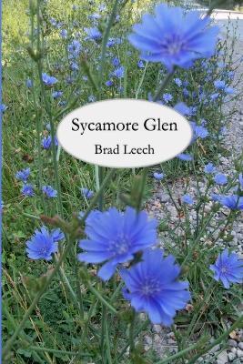 Sycamore Glen - Brad Leech - cover