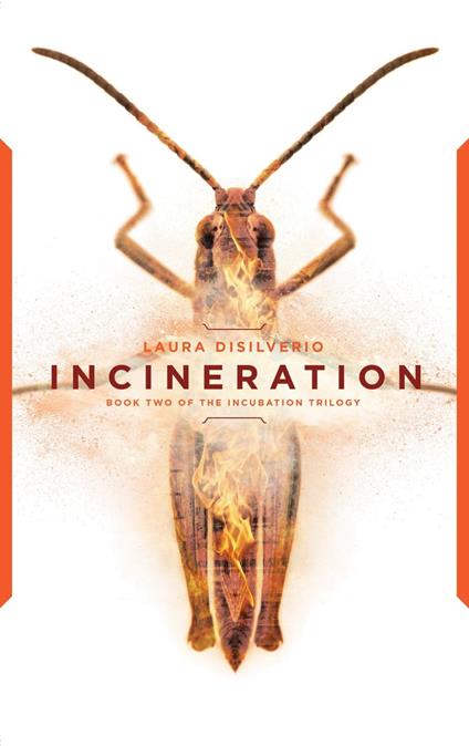 Incineration