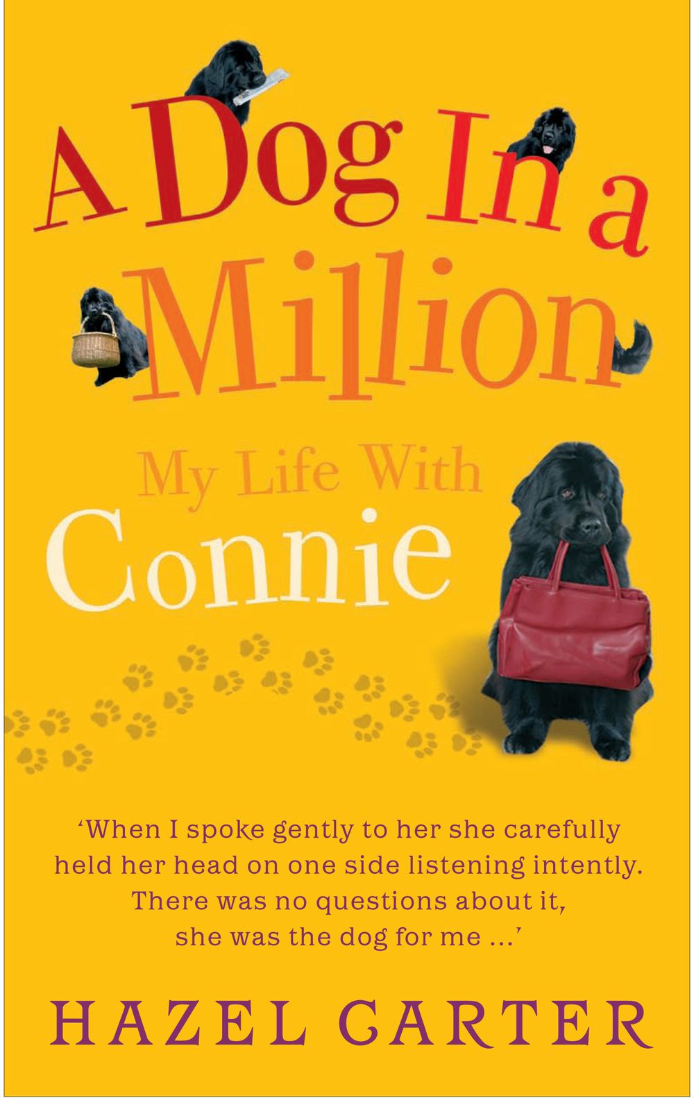 ibs
