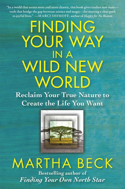 Finding Your Way in a Wild New World