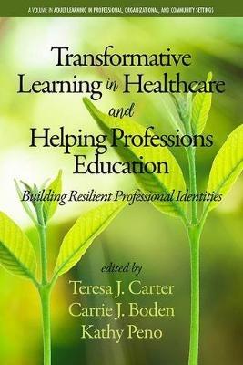 Transformative Learning in Healthcare and Helping Professions Education: Building Resilient Professional Identities - cover