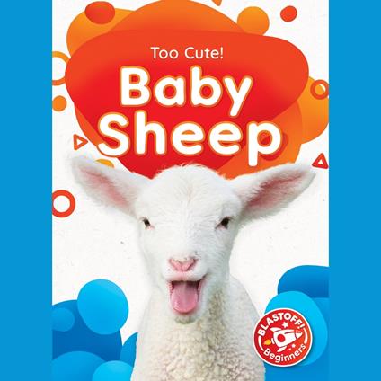 Baby Sheep