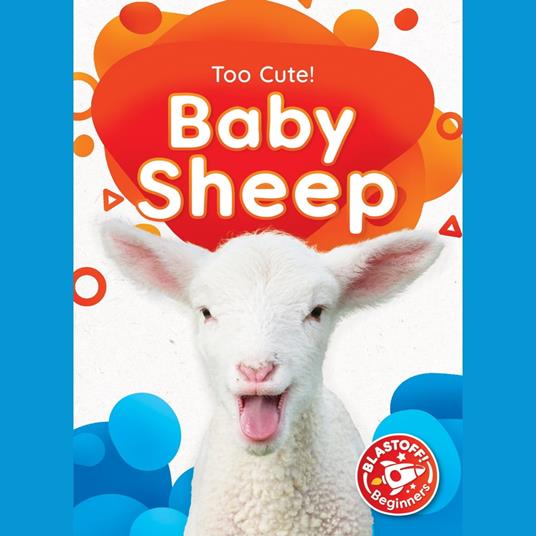 Baby Sheep