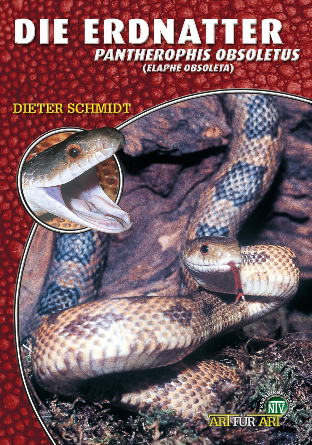 ibs
