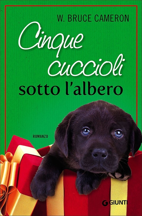 IL PAPIRO
