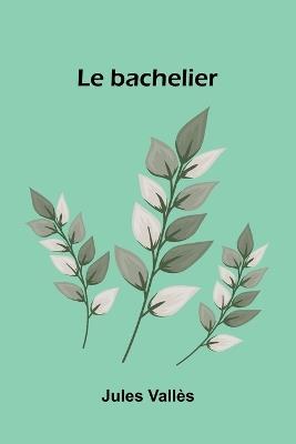 Vrouw Grobelaar and Her Leading Cases Seventeen Short Stories (Edition1) - Jules Vall S - cover